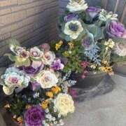 ヒメ日記 2026/01/31 16:53 投稿 朝比奈　ひろみ 熟女パラダイス岐阜羽島店（カサブランカグループ）