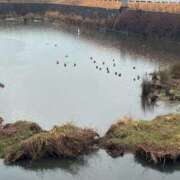 ヒメ日記 2026/02/25 13:27 投稿 朝比奈　ひろみ 熟女パラダイス岐阜羽島店（カサブランカグループ）