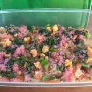 ヒメ日記 2026/03/01 20:31 投稿 朝比奈　ひろみ 熟女パラダイス岐阜羽島店（カサブランカグループ）