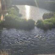 ヒメ日記 2026/03/02 07:15 投稿 朝比奈　ひろみ 熟女パラダイス岐阜羽島店（カサブランカグループ）