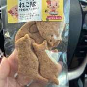 ヒメ日記 2026/03/02 13:11 投稿 朝比奈　ひろみ 熟女パラダイス岐阜羽島店（カサブランカグループ）