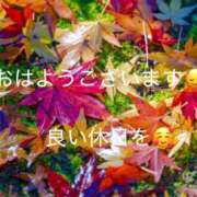 ヒメ日記 2025/11/23 08:53 投稿 一ノ瀬　かえで 熟女パラダイス岐阜羽島店（カサブランカグループ）