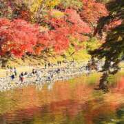 ヒメ日記 2025/11/23 17:17 投稿 一ノ瀬　かえで 熟女パラダイス岐阜羽島店（カサブランカグループ）