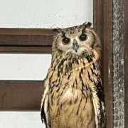 ヒメ日記 2025/12/08 10:39 投稿 一ノ瀬　かえで 熟女パラダイス岐阜羽島店（カサブランカグループ）