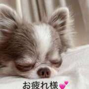 ヒメ日記 2025/12/09 15:33 投稿 一ノ瀬　かえで 熟女パラダイス岐阜羽島店（カサブランカグループ）