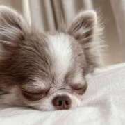 ヒメ日記 2025/12/14 08:35 投稿 一ノ瀬　かえで 熟女パラダイス岐阜羽島店（カサブランカグループ）