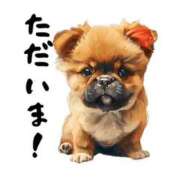 ヒメ日記 2025/12/16 18:07 投稿 一ノ瀬　かえで 熟女パラダイス岐阜羽島店（カサブランカグループ）