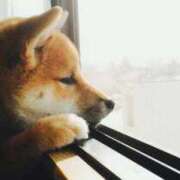 ヒメ日記 2025/12/18 09:51 投稿 一ノ瀬　かえで 熟女パラダイス岐阜羽島店（カサブランカグループ）