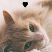 ヒメ日記 2025/12/21 08:49 投稿 一ノ瀬　かえで 熟女パラダイス岐阜羽島店（カサブランカグループ）