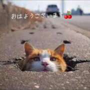 ヒメ日記 2025/12/23 10:17 投稿 一ノ瀬　かえで 熟女パラダイス岐阜羽島店（カサブランカグループ）