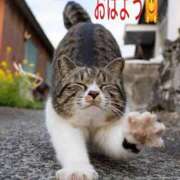 ヒメ日記 2025/12/27 08:27 投稿 一ノ瀬　かえで 熟女パラダイス岐阜羽島店（カサブランカグループ）