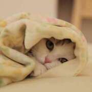 ヒメ日記 2025/12/28 08:47 投稿 一ノ瀬　かえで 熟女パラダイス岐阜羽島店（カサブランカグループ）