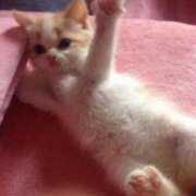 ヒメ日記 2025/12/29 13:51 投稿 一ノ瀬　かえで 熟女パラダイス岐阜羽島店（カサブランカグループ）