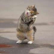 ヒメ日記 2025/12/30 12:07 投稿 一ノ瀬　かえで 熟女パラダイス岐阜羽島店（カサブランカグループ）