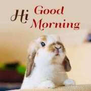 ヒメ日記 2026/01/03 10:19 投稿 一ノ瀬　かえで 熟女パラダイス岐阜羽島店（カサブランカグループ）