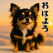 ヒメ日記 2026/01/18 08:39 投稿 一ノ瀬　かえで 熟女パラダイス岐阜羽島店（カサブランカグループ）