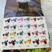 ヒメ日記 2026/01/30 15:33 投稿 一ノ瀬　かえで 熟女パラダイス岐阜羽島店（カサブランカグループ）