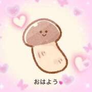 ヒメ日記 2026/02/13 09:33 投稿 一ノ瀬　かえで 熟女パラダイス岐阜羽島店（カサブランカグループ）