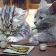 一ノ瀬　かえで お疲れ様でした? 熟女パラダイス岐阜羽島店（カサブランカグループ）