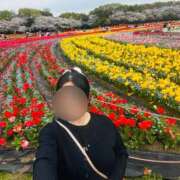 ヒメ日記 2026/04/08 12:55 投稿 一ノ瀬　かえで 熟女パラダイス岐阜羽島店（カサブランカグループ）