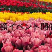 ヒメ日記 2026/04/17 13:35 投稿 一ノ瀬　かえで 熟女パラダイス岐阜羽島店（カサブランカグループ）