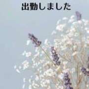 ヒメ日記 2026/04/25 09:25 投稿 一ノ瀬　かえで 熟女パラダイス岐阜羽島店（カサブランカグループ）