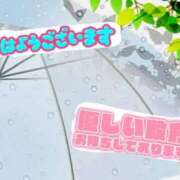 ヒメ日記 2026/06/26 10:31 投稿 一ノ瀬　かえで 熟女パラダイス岐阜羽島店（カサブランカグループ）