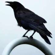 ヒメ日記 2025/11/24 00:27 投稿 大沢まり 熟女パラダイス岐阜羽島店（カサブランカグループ）