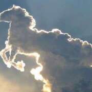 ヒメ日記 2025/11/26 08:29 投稿 大沢まり 熟女パラダイス岐阜羽島店（カサブランカグループ）