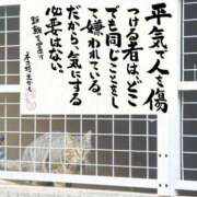 ヒメ日記 2025/11/27 08:27 投稿 大沢まり 熟女パラダイス岐阜羽島店（カサブランカグループ）