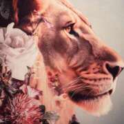 大沢まり しゅ 熟女パラダイス岐阜羽島店（カサブランカグループ）