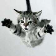 ヒメ日記 2025/12/11 16:43 投稿 大沢まり 熟女パラダイス岐阜羽島店（カサブランカグループ）