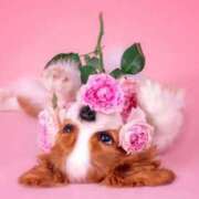 ヒメ日記 2026/03/19 21:59 投稿 大沢まり 熟女パラダイス岐阜羽島店（カサブランカグループ）