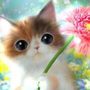 ヒメ日記 2026/04/11 16:13 投稿 大沢まり 熟女パラダイス岐阜羽島店（カサブランカグループ）