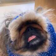 ヒメ日記 2025/11/22 16:07 投稿 越智みやび 熟女パラダイス岐阜羽島店（カサブランカグループ）