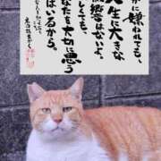 ヒメ日記 2026/01/29 00:35 投稿 越智みやび 熟女パラダイス岐阜羽島店（カサブランカグループ）