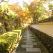 ヒメ日記 2026/03/02 15:35 投稿 越智みやび 熟女パラダイス岐阜羽島店（カサブランカグループ）