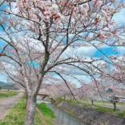 ヒメ日記 2026/04/03 14:15 投稿 越智みやび 熟女パラダイス岐阜羽島店（カサブランカグループ）