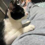 ヒメ日記 2025/11/21 08:07 投稿 夏海えな 熟女パラダイス岐阜羽島店（カサブランカグループ）