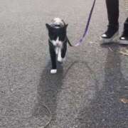 ヒメ日記 2025/12/02 13:17 投稿 夏海えな 熟女パラダイス岐阜羽島店（カサブランカグループ）