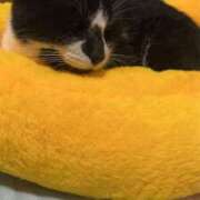 ヒメ日記 2025/12/07 18:43 投稿 夏海えな 熟女パラダイス岐阜羽島店（カサブランカグループ）