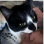 ヒメ日記 2025/12/23 15:03 投稿 夏海えな 熟女パラダイス岐阜羽島店（カサブランカグループ）