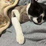 ヒメ日記 2025/12/26 13:23 投稿 夏海えな 熟女パラダイス岐阜羽島店（カサブランカグループ）