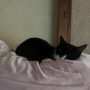 ヒメ日記 2025/12/28 06:43 投稿 夏海えな 熟女パラダイス岐阜羽島店（カサブランカグループ）