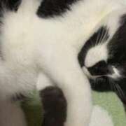 ヒメ日記 2026/01/01 15:23 投稿 夏海えな 熟女パラダイス岐阜羽島店（カサブランカグループ）