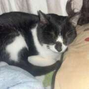 ヒメ日記 2026/01/04 07:33 投稿 夏海えな 熟女パラダイス岐阜羽島店（カサブランカグループ）