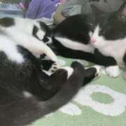 ヒメ日記 2026/01/07 06:55 投稿 夏海えな 熟女パラダイス岐阜羽島店（カサブランカグループ）