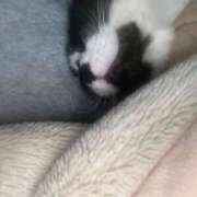 ヒメ日記 2026/01/08 11:21 投稿 夏海えな 熟女パラダイス岐阜羽島店（カサブランカグループ）