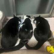 ヒメ日記 2026/01/09 10:39 投稿 夏海えな 熟女パラダイス岐阜羽島店（カサブランカグループ）