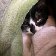 ヒメ日記 2026/01/21 20:57 投稿 夏海えな 熟女パラダイス岐阜羽島店（カサブランカグループ）